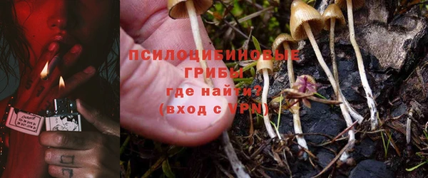 первитин Вяземский