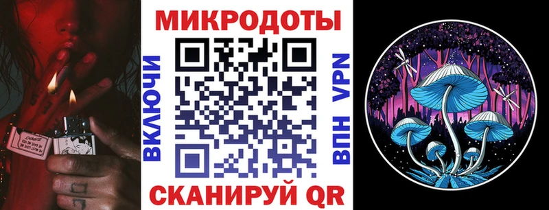 Псилоцибиновые грибы Cubensis купить наркотик МЕГА ССЫЛКА Муром