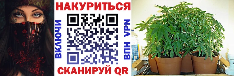 Бошки Шишки ГИДРОПОН Муром
